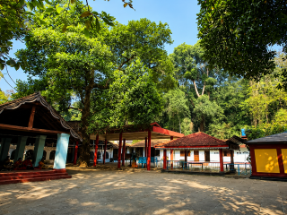 sree valliyoorkavu bhagavathi temple 1